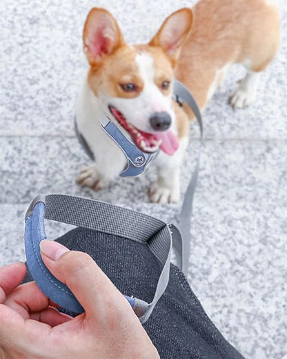 Large Dog Harness and Leash Set,No Pull Adjustable Step in Soft Mesh Vest Harness,Easy Walk Reflective Pet Harness with Padded Handle for Walking Training Small Medium Large Dogs and Cats (Blue, L)