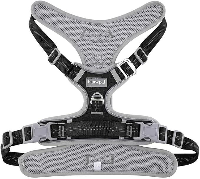 Paawpal Adjustable Dog Harness - No Pull, Reflective, Soft Padded for Small, Medium, Large Dogs - Includes Leash and Collar Black M