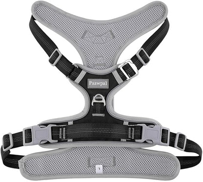 Dog Harness and Leash Set – Adjustable Dog Collar and Vest Harness for Dogs, Durable Pechera para Perros Medianos – Arnes Perro with Leash– S, M, L, XL Dog Harness and Leash Set