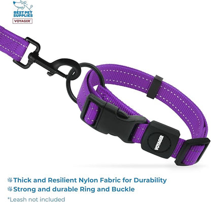 Best Pet Supplies Voyager Reflective Dog Leash or Collar with Neoprene Handle, for Small, Medium, and Large Breed Puppies, Cute and Heavy Duty for Walking, Running and Training - Purple, L