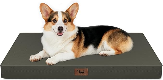Tail Stories Outdoor Waterproof Dog Bed, Big Dog Bed for Large Size Dogs, Orthopedic Egg Crate Foam Pet Bed with Washable Removable Oxford Cover, 36x27 Inch, Brown