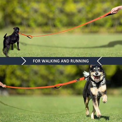 Plutus Pet Double Handle Dog Leash 5ft, Heavy Duty, Reflective Dual Handle Dog Leash for Safety Training, for Medium Large Dogs,2 Handle Leads(Orange)