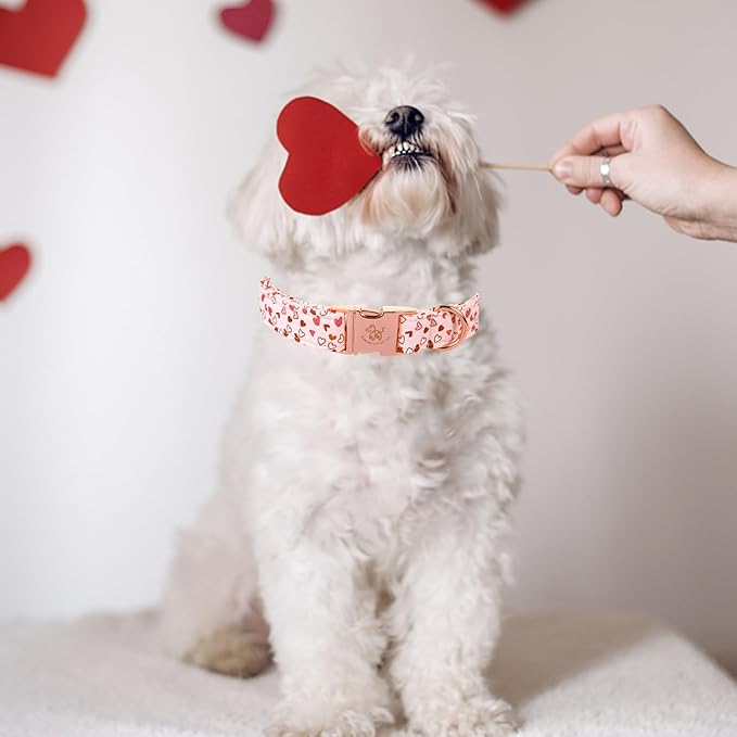 Elegant Little Tail Pink Heart Dog Collar, Valentine's Day Gift - Adjustable for X-Small Dogs