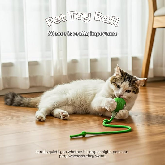 Interactive Cat Toys for Indoor Cats,The 3rd Generation Agile Moving Cat Ball with Elastic Mesh Tail,Automatic Kitten Toys for Bored Indoor Adult Cats,Motion Activated - Pack of 3 (Red, Green, Blue)