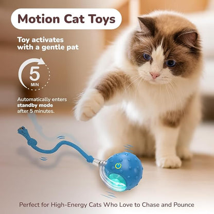 Interactive Cat Toy Ball for Indoor Cats – Fast Rolling on Carpet, Motion Activated with Chirping Sounds, Smart Play Toy (Turquoise)