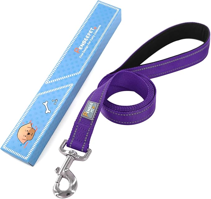 Dog Leash 6 FT Padded Handle Nylon Reflective Dogs Leashes for Large Dogs Purple