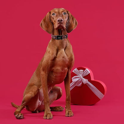 DOGWONG Valentine's Day Dog Collar, Red Heart Dog Collars Female or Male Adjustable Cotton Pet Collar with Quick Release Buckle for Small Medium Large Dogs,XS