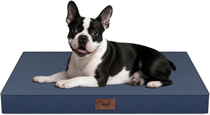 Tail Stories Outdoor Waterproof Dog Bed, Orthopedic Dog Bed for Medium Dogs 30x20 Inch, Egg Crate Foam Pet Bed with Washable Removable Oxford Cooling Cover, Navy