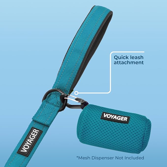 Best Pet Supplies Voyager Reflective Dog Leash or Collar with Neoprene Handle, for Small, Medium, and Large Breed Puppies, Cute and Heavy Duty for Walking, Running and Training - Turquoise (Leash), S