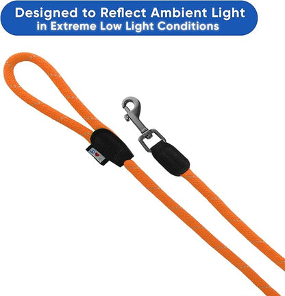 Pawtitas Double Leash for Two Dogs Great for Walking & Training Comfortable Shock Absorbing Reflective Pet Rope Leash for 2 Dogs 6ft - Medium/Large - Orange