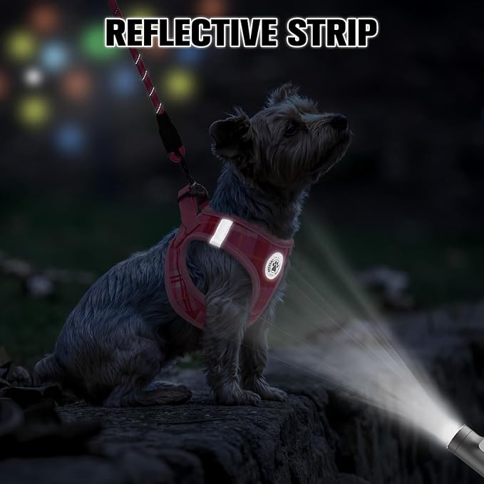 BEAUTYZOO Small Dog Harness and Leash Set, Step in No Choke No Pull Soft Mesh Dog Harnesses Reflective for Small Medium Puppy Dogs and Cats, Plaid Dog Vest Harness for S M Pets, Light Pink XXS