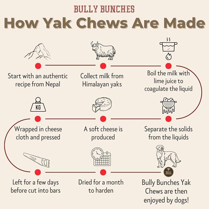 Bully Bunches Extra Large Authentic Yak Cheese Himalayan Chews for Large Dogs & Aggressive Chewers - All Natural Dog Treat Dental Chews, Made with Real Yak Milk - Lactose & Rawhide Free (2 PK)