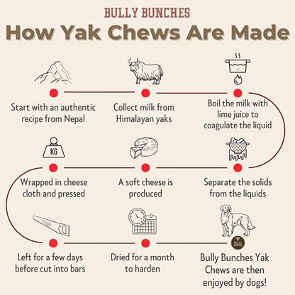 Bully Bunches Extra Large Authentic Yak Cheese Himalayan Chews for Large Dogs & Aggressive Chewers - All Natural Dog Treat Dental Chews, Made with Real Yak Milk - Lactose & Rawhide Free (2 PK)