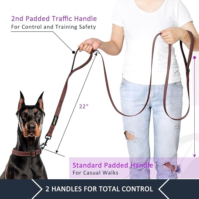 Plutus Pet Double Handle Dog Leash 4ft, Heavy Duty, Reflective Dual Handle Dog Leash for Safety Training, for Medium Large Dogs,2 Handle Leads, Chocolate