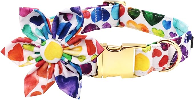 Lionet Paws Dog Collar with Flower, Soft and Comfortable, Adjustable Collar for Small Dogs Girl, Neck 10-16 inches