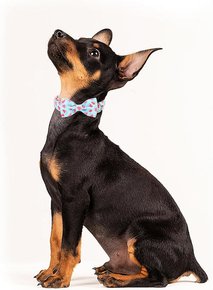 Summer Dog Collar with Bow Tie, Charm Watermelon Bowtie Dog Collar, Durable Adjustable Cotton Pet Collar for Small Medium Large Dogs