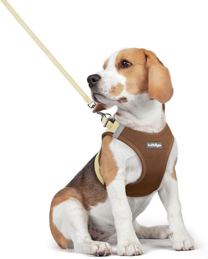 rabbitgoo Dog Harness Small Medium Sized and Leash Set, Step in Soft Light Puppy Vest, Breathable Mesh Pet Harness, Reflective for Safe Easy Walking, Brown & Beige L