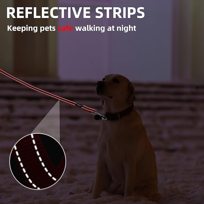 PUPTECK Reflective Dog Leash with Comfortable Padded Handle Durable Nylon Dog Lead for Small Medium and Large Dogs Cats Walking Running Training Outside, Red