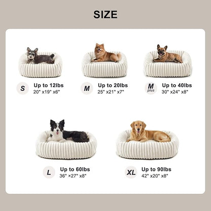 FURTIME Dog Bed for Small Dogs, Washable Orthopedic Dog Bed with Removable Cover, Rectangle Soft Calming Sleeping Puppy Bed Durable Pet Cuddler with Anti-Slip Bottom, Cream, S (20"x19"x6")
