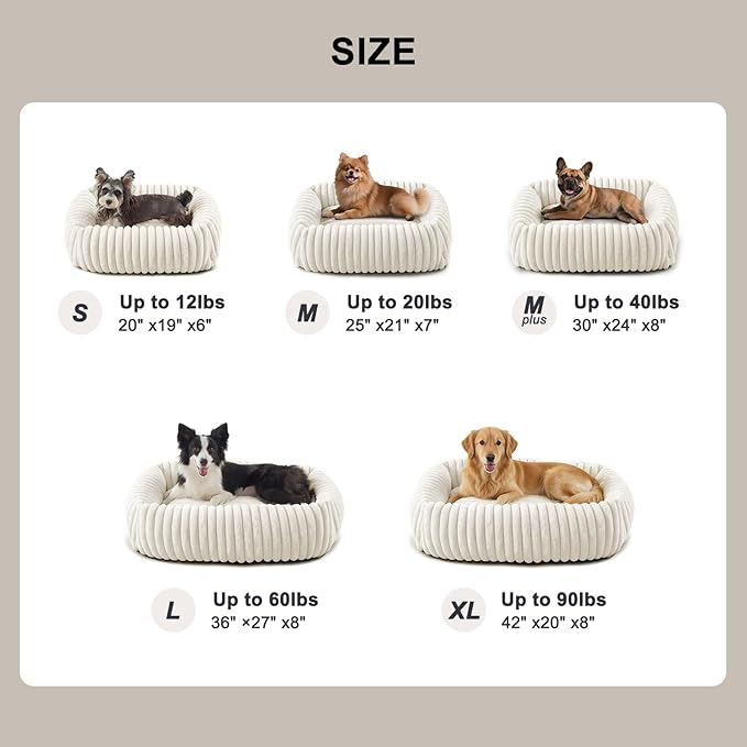 FURTIME Dog Bed for Small Medium Dog, Washable Orthopedic Pet Bed with Removable Cover, Rectangle Soft Calming Sleeping Puppy Bed Durable Pet Cuddler with Anti-Slip Bottom, Cream, M (25"x21"x7")