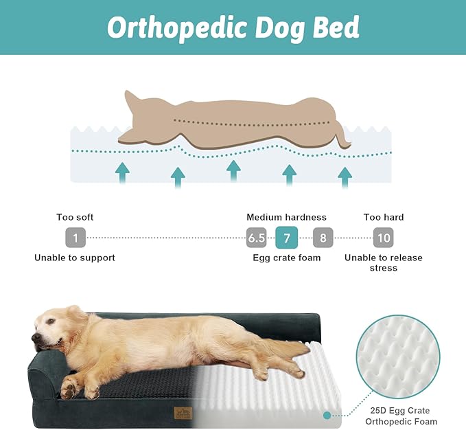 COZY KISS Orthopedic Dog Bed for Large Size Dog, XL Dogs Crate Bed, L Shaped Foam Anti-Slip Bottom Pet Cat Sofa with Washable Removable Cover, Suitable for Pet Up to 100 lbs, 44x32x7 inch, Black