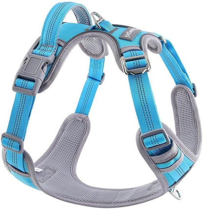 Paawpal Adjustable Dog Harness - No Pull, Reflective, Soft Padded for Small, Medium, Large Dogs - Includes Leash Turquoise M