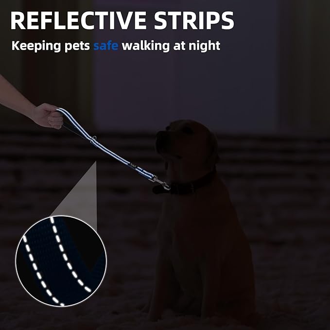 PUPTECK Reflective Dog Leash with Comfortable Padded Handle Durable Nylon Dog Lead for Small Medium and Large Dogs Cats Walking Running Training Outside, Blue