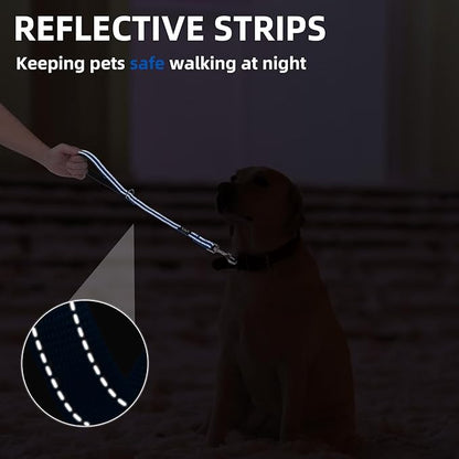 PUPTECK Reflective Dog Leash with Comfortable Padded Handle Durable Nylon Dog Lead for Small Medium and Large Dogs Cats Walking Running Training Outside, Blue