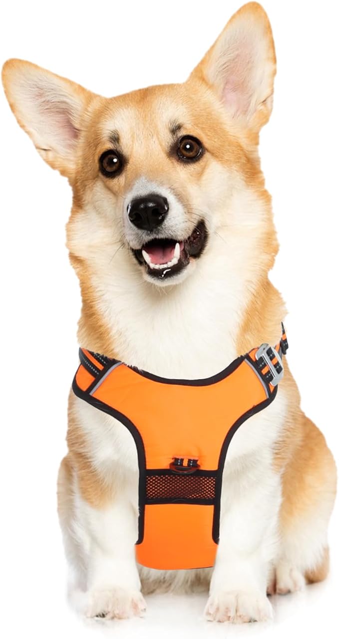 No Pull Dog Harness with 3 Snap Buckles,No Choke Front Lead pet Harness Reflective and Adjustable Soft Padded Vest for Small Medium Large Dog (Orange, Medium)