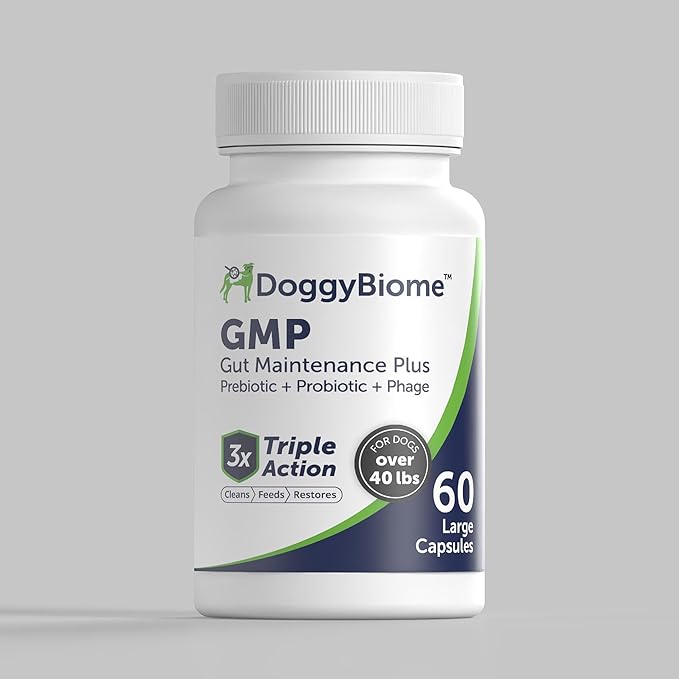 AnimalBiome Dog Probiotics - GMP Prebiotics and Probiotics - Reduce Diarrhea Flareups - for Dogs Over 40 lbs (60 Capsules) - DoggyBiome