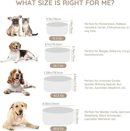 SPUNKYJUNKY 13.5OZ Ceramic Dog and Cat Bowl, Modern Cute Weighted Food Water Bowl for Replacement White (2 Pack)