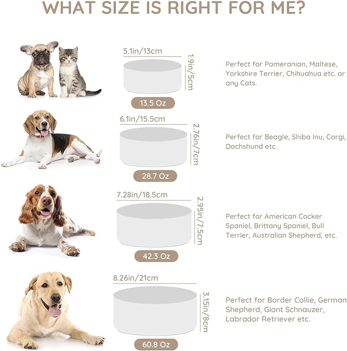 SPUNKYJUNKY 42OZ Ceramic Dog and Cat Bowl, Modern Cute Weighted Food Water Bowl for Replacement White (2 Pack)