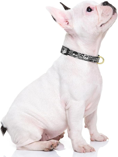 Rnivvi Dog Collar for Small Dogs, Cute Heavy Duty Adjustable Puppy Collar with Quick Release Buckle for Girl & Female, Pet Accessories for Walking Running, XS Length 5/8" Width, Black Skull