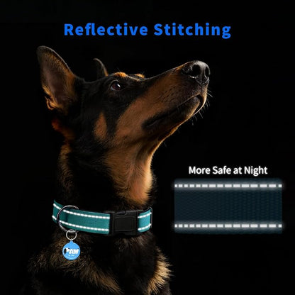 Reflective Dog Collar for Medium Dogs with Dog Tags Personalized & Quick Release Buckle, Adjustable and Comfortable Nylon Pet Collar, Mint Green