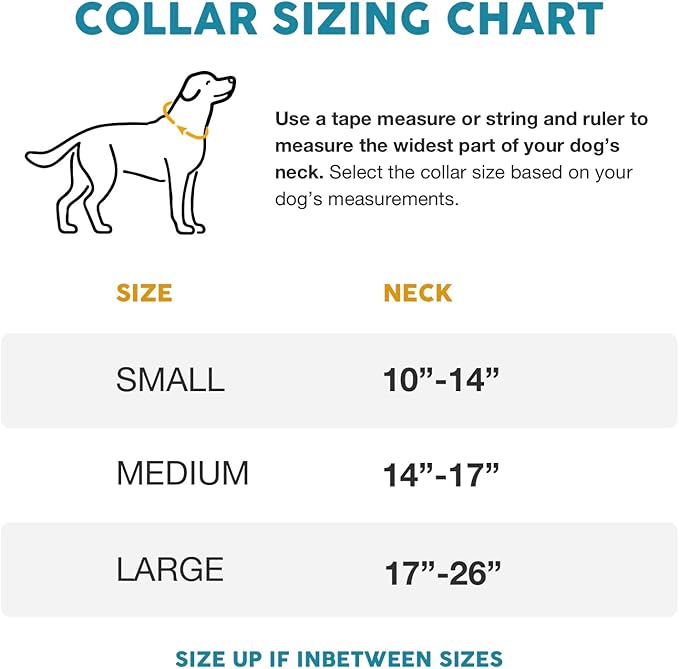 Embark Adventure Dog Collar – Stylish & Durable Nylon Dog Collars for Small Dogs, Comfortable Pet Collar, Small Dog Collars for Male & Female Dogs with Strong Buckles. Adjustable Small Dog Collars