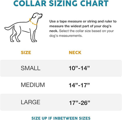 Embark Adventure Dog Collar – Stylish & Durable Nylon Dog Collars for Small Dogs, Comfortable Pet Collar, Small Dog Collars for Male & Female Dogs with Strong Buckles. Adjustable Small Dog Collars