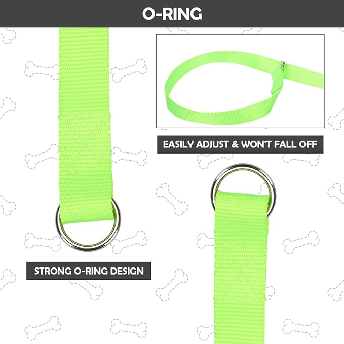 HOMIMP Slip Lead Dog Leash 6 FT- 8 PCS Bulk Colors Kennel Control Leashes for Small Medium Large Dogs Puppy Animal Rescue, Grooming - Heavy Duty Strong Nylon 6 Foot Long for Shelter, Vet, Training