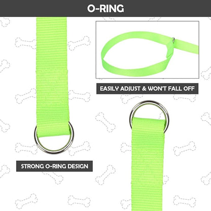 HOMIMP Slip Lead Dog Leash 6 FT- 8 PCS Bulk Colors Kennel Control Leashes for Small Medium Large Dogs Puppy Animal Rescue, Grooming - Heavy Duty Strong Nylon 6 Foot Long for Shelter, Vet, Training