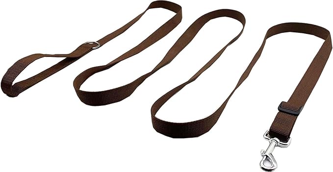 6FT/ 10FT Adjustable Dog Leash, Nylon Dog Leashes for Medium Large Dogs (10FT, Brown)