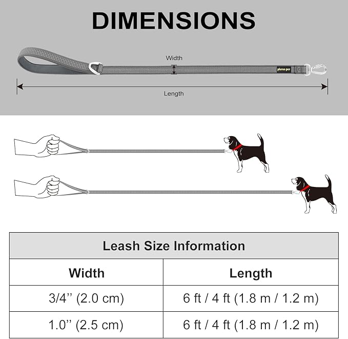 Plutus Pet Heavy Duty Dog Leash with Lockable Aluminum Carabiner, 4/6 Feet Long, Double-Sided Reflective Nylon, Padded Handle, for Puppy, Small, Medium and Large Dogs (Orange, 1" x 4')
