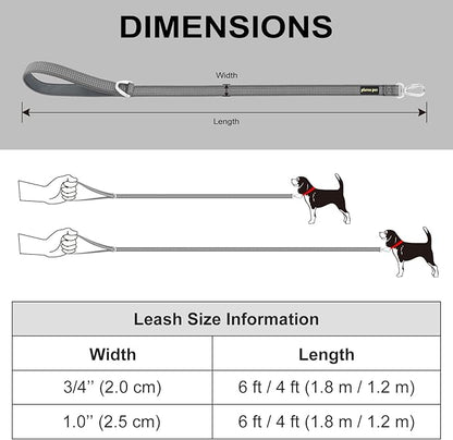 Plutus Pet Heavy Duty Dog Leash with Lockable Aluminum Carabiner, 4/6 Feet Long, Double-Sided Reflective Nylon, Padded Handle, for Puppy, Small, Medium and Large Dogs (Orange, 1" x 4')