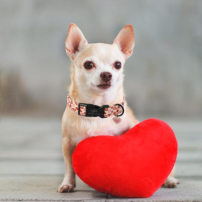 Valentine’s Dog Collar, Red Heart Dog Collar with Quick Release, Sweet Valentine’s Gift Pet Girl Boy Dog Collar for Puppy Small Medium Dogs, Wedding Dog Collar