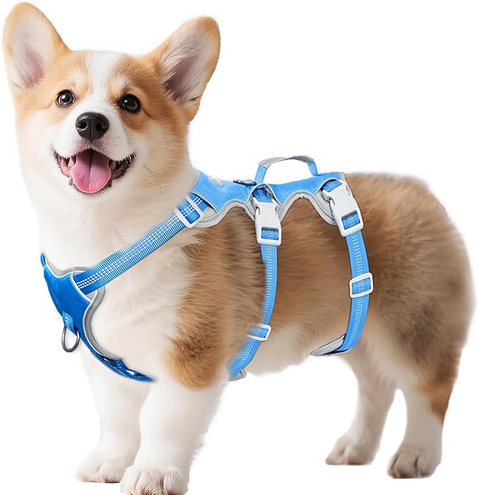 Huntboo Escape Proof Dog Harness, Escape Artist Harness, Reflective Harness with Padded Handle, Breathable, Durable, Adjustable Vest for Medium Dogs Walking, Training, and Running Gear (Blue, S)