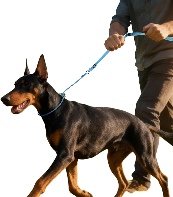 EVERKING Dog Slip Lead Dog Training Leash, No-Pull Slip Leash and Collar,Nylon Material Heavy-Duty and Durable,with Comfortable Padded Handle,Suitable for All Dogs (Blue(4.9-5.9FT-Metal Buckle))