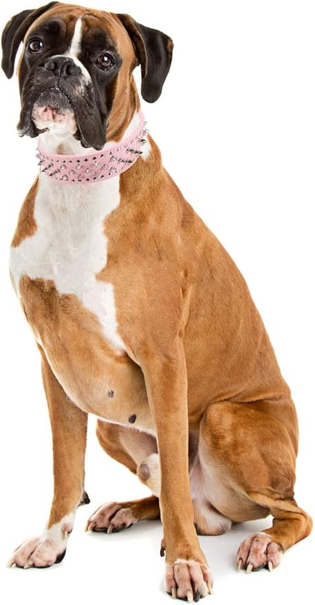 Hoot PU Leather Adjustable Spiked Studded Dog Collar 2" Wide 37 Spikes (M(Neck 19"-22"), Pink)