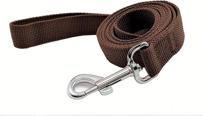 TAIAN 4FT/5FT/6FT Strong Dog Leash, Nylon Dog Leashes for Small Medium Large Dogs (1 in x 6 ft, Brown)