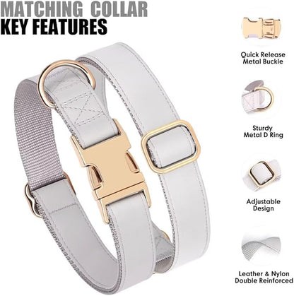 PET ARTIST Soft PU Leather Dog Collar and Leash Set, Bright & Stylish 5FT PU Leather Leash and Collar Set, Durable Pet Collars with Quick Release Metal Buckle for Small Dogs,Gray,S(9"-14")