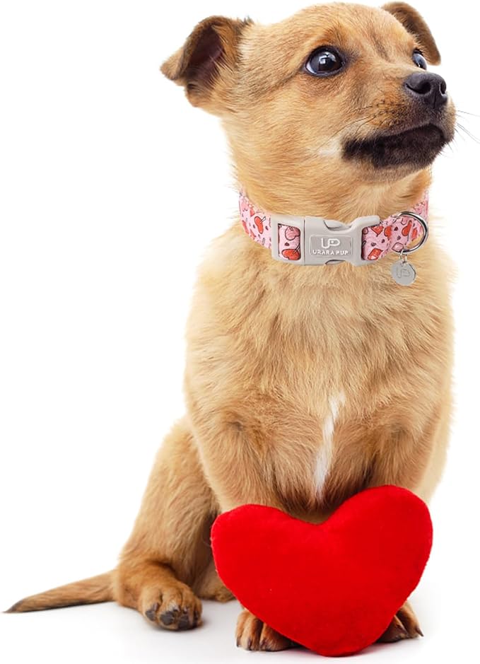 UP URARA PUP Valentine’s Day Dog Collar, Pink Heart Dog Collar with Quick Release, Valentine’s Day Gift Pet Collar for Puppy Girl Boy Dog, Wedding Dog Collar