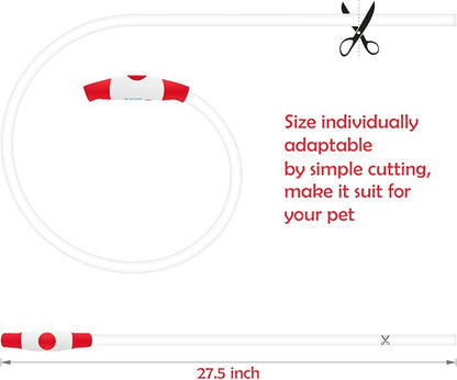 Led Dog Collar, BSEEN USB Rechargeable Flash Dog Necklace Light, Pet Safety Collar Makes Your Beloved Dogs Be Seen at Night for Small Medium Large Dogs(Red)