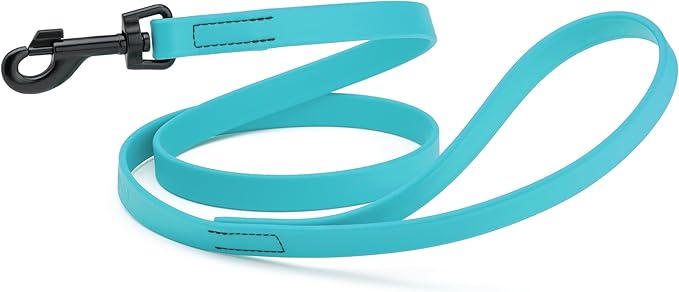 Dogline Biothane Waterproof Dog Leash Strong Coated Nylon Webbing with Black Hardware Odor-Proof Easy to Clean High Performance for Small or Large Dogs Made in USA 4 or 6 ft Lead, Sky Blue